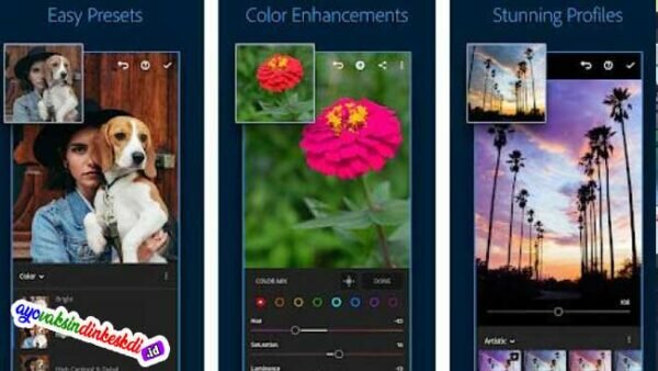 Ulasan Lightroom Mod Apk